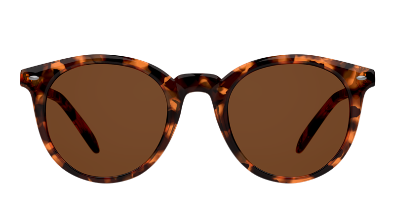 Kirkland Signature Blaze product image 2