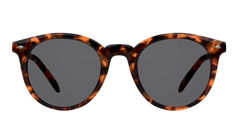 Kirkland Signature Blaze product image 4